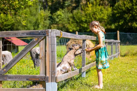 Camping Moulin Du Bel-air foto 2
