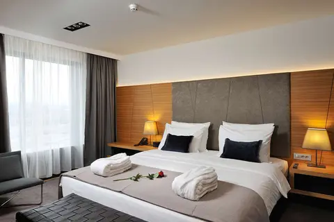 Radisson Blu Plaza Hotel Ljubljana in Ljubljana — foto 3