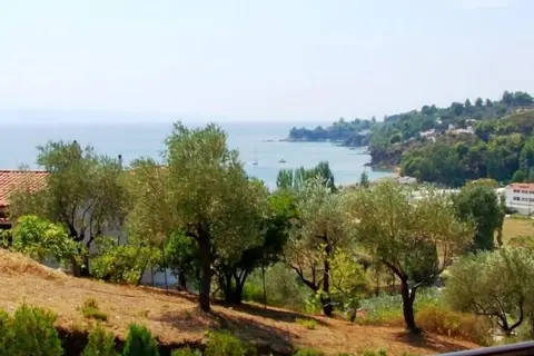 Anna-Maria Villa in Villa Anna Maria, foto 27