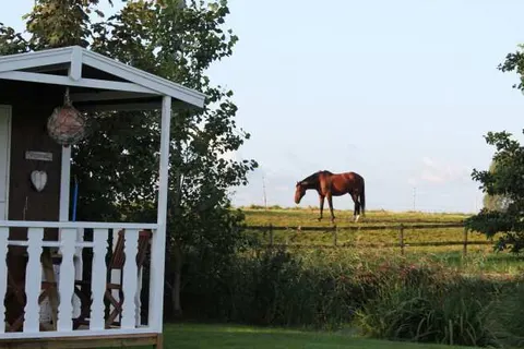 Bed and Breakfast Welgelegen foto 17