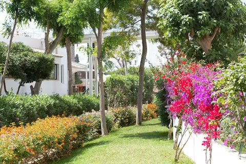 Gavimar Cala Gran Costa del Sur in Palma — foto 6