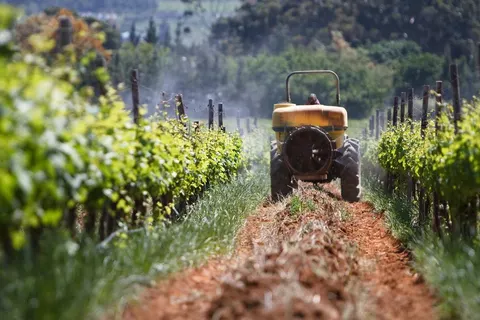 16 daagse reis Zuid Afrika Drive & Connect in Marsh Sandpiper Close — foto 3