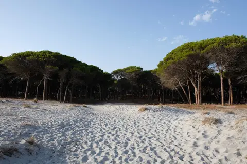 Selema Camping in Thiniscole/Siniscola — foto 11