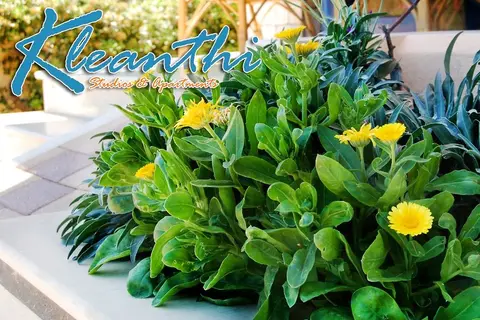 Kleanthi Studios & Apartments in Δημοτική Ενότητα Γουβών — foto 18