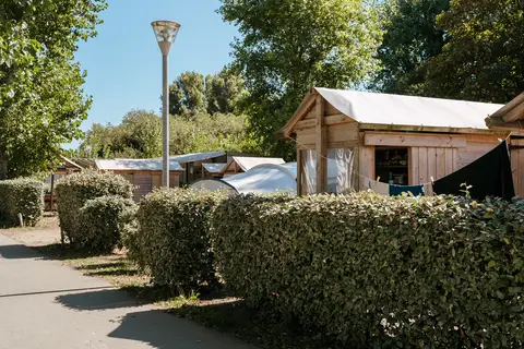 Flower Camping Le Bois D Amour in Quiberon — foto 17