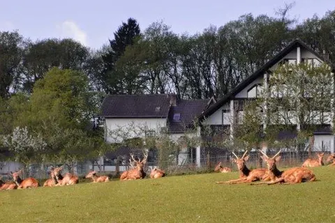 All in Hotel Heiderhof foto 35