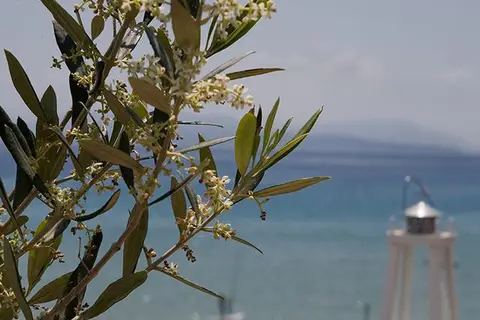 Aparthotel Grand Nefeli in Δημοτική Ενότητα Απολλωνίων