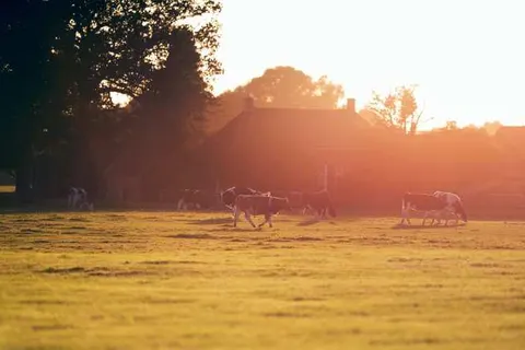 Buitenplaats in den Olden Bongerd foto 15