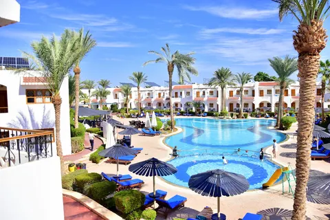Dive Inn in Sharm El Sheikh