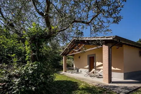 Il Poggio degli Olivi in Bettona — foto 12