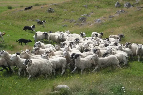 Het hart van Schotland in Schotland — foto 12