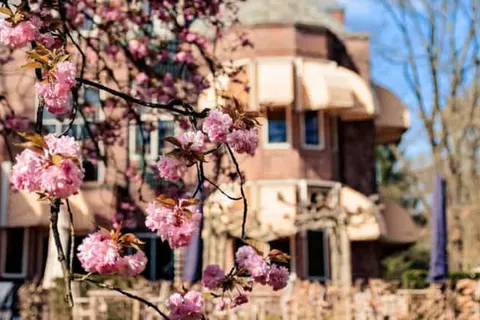 Landgoed Huize Bergen foto 31