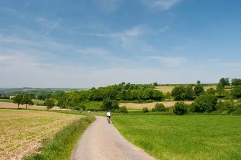 Bungalowpark Landsrade foto 19