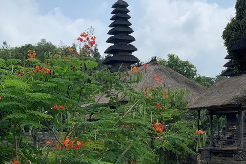 15-daagse familierondreis Bali foto 4