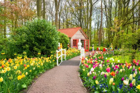 Nederland in bloei in Westerveld, foto 19