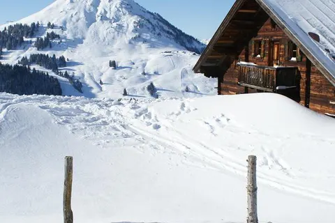 Pension Sonnblick foto 8