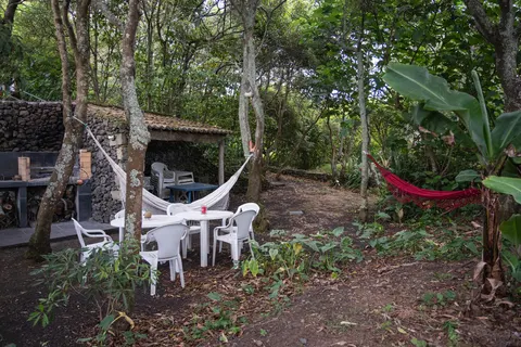 Quinta de São Caetano foto 20