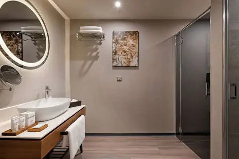Limak Skopje Luxury Hotel in Skopje — foto 22