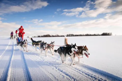 Kelo Star Cabins foto 5