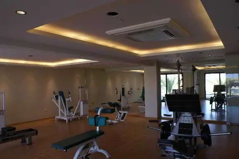 D'Andrea Mare Hotel in Ialysos, foto 28
