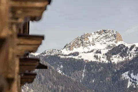 Hotel Gran Chalet Soreghes in Campitello di Fassa — foto 16