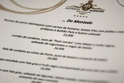 Alentejo Marmoris Hotel & Spa in Vila Viçosa, foto 10