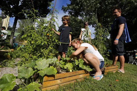 Camping Le Giessen foto 23