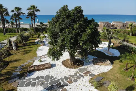 Paloma Finesse Side in Manavgat — foto 17