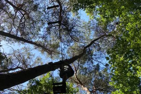 Camping La Forêt foto 17