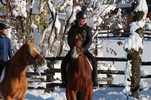 Residence Tolderhof foto 7