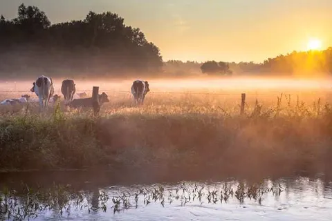 B&B Sagenland foto 4