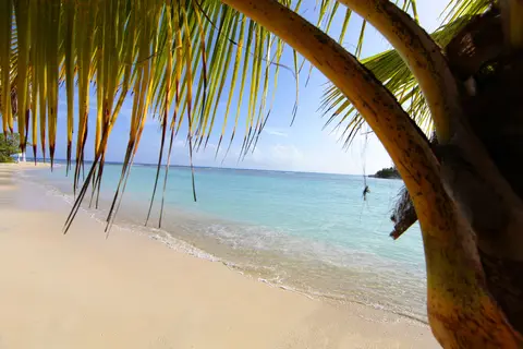 Bahia Principe Grand Jamaica in Runaway Bay — foto 7