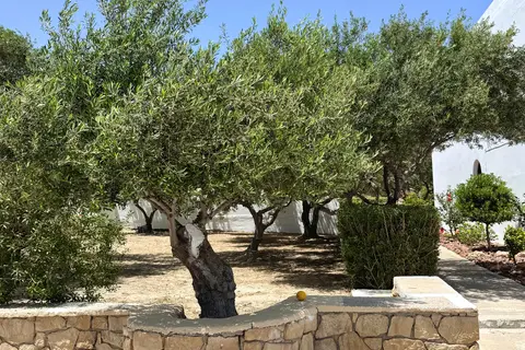 Hotel Casa Garden in Δημοτική Ενότητα Καρπάθου — foto 13