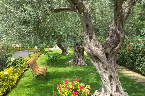 Residence Villa Collina foto 23
