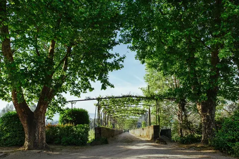 Quinta da Bouca d'Arques in Viana do Castelo — foto 11