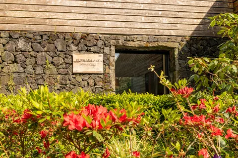 Furnas Lake Forest Living in Povoação — foto 27
