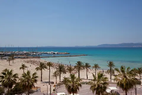whala!beach in Palma — foto 15