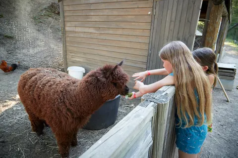 Camping Verdon Parc foto 14