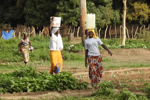 9 daagse combinatiereis Beleef het échte Gambia foto 5