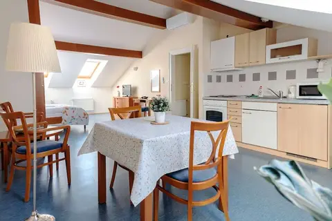 Aparthotel Sibelius in Praag, foto 13