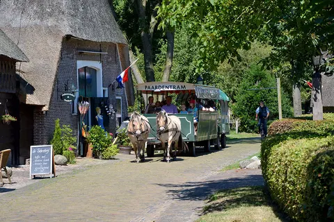 Camping De Reeënwissel foto 14