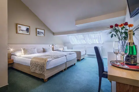 Hotel Taurus in Praag — foto 30