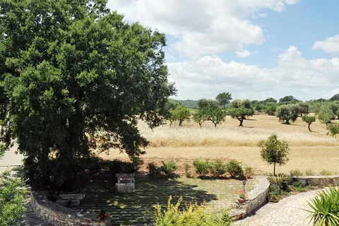 Masseria Selvaggi foto 11