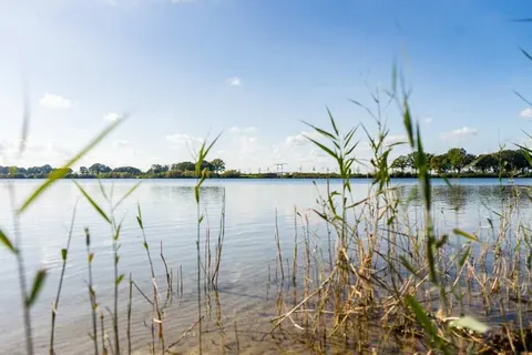 Kraaijenbergse Plassen foto 13