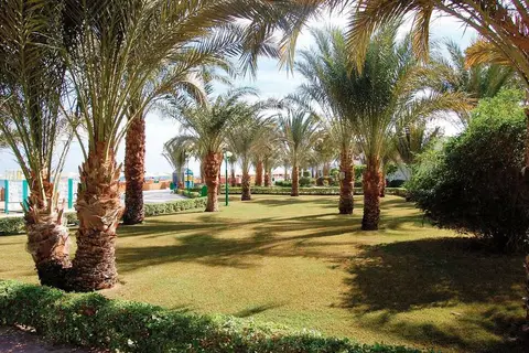 Menaville Resort in سفاجا — foto 11