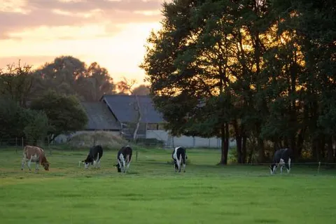 Hotel de Koppelpaarden foto 27