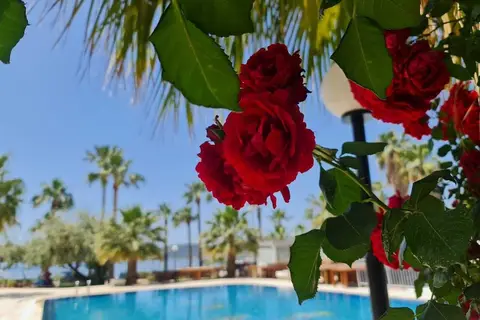 Nagi Gümbet Beach in Bodrum — foto 23