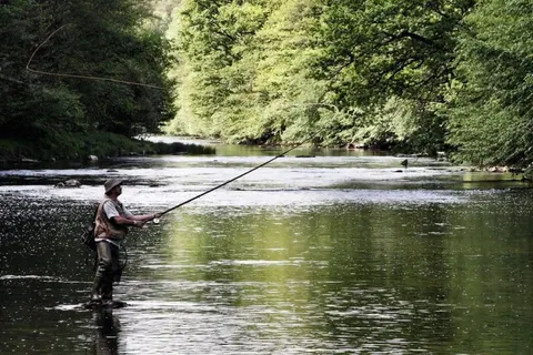 Camping La Roudelière foto 15