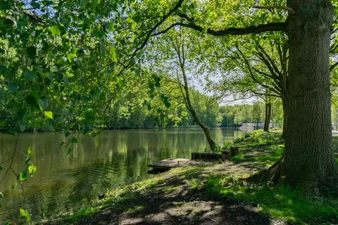 Het Amsterdamse Bos foto 7
