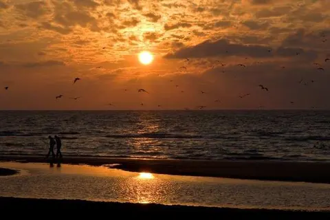 Aparthotel Zoutelande foto 14